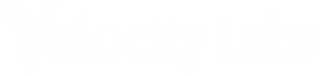 Velocity Labs